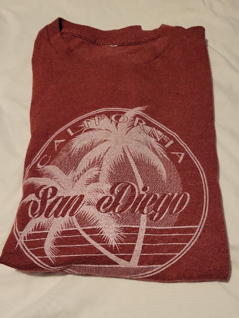 San Diego California Logo with Palm Print - Men's Large Heather Wine Graphic Tee